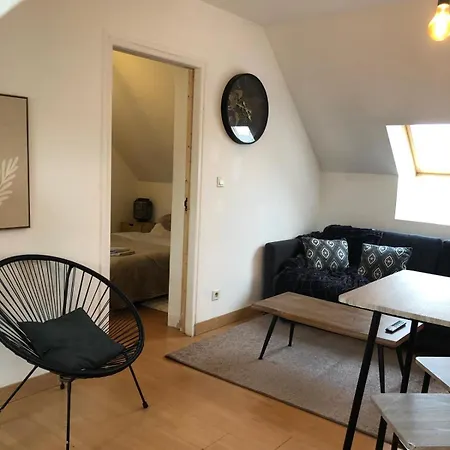 Duplex Lumineux Avec Parking Et Wi-fi Offert Beauvais